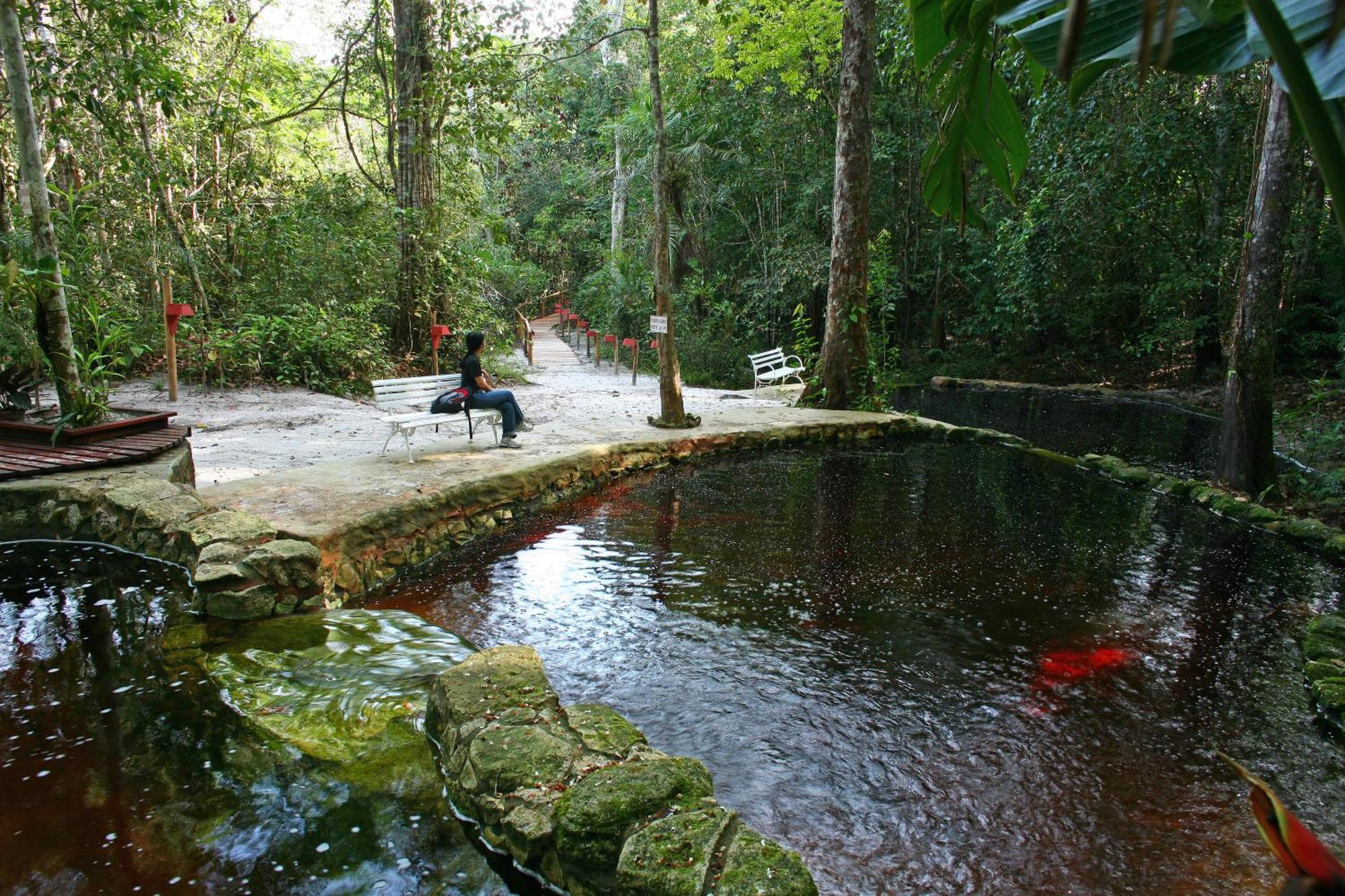 Amazon Ecopark Jungle Lodge Manaus Kültér fotó