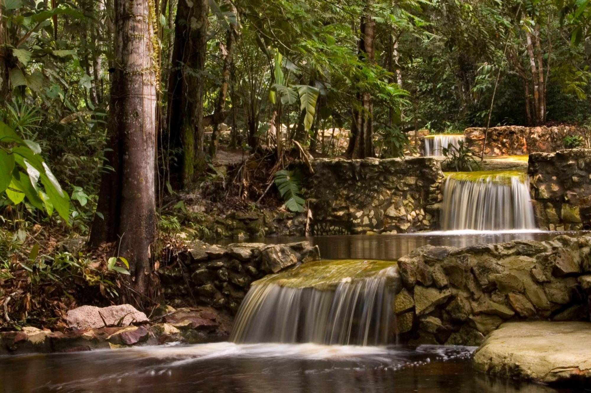 Amazon Ecopark Jungle Lodge Manaus Kültér fotó