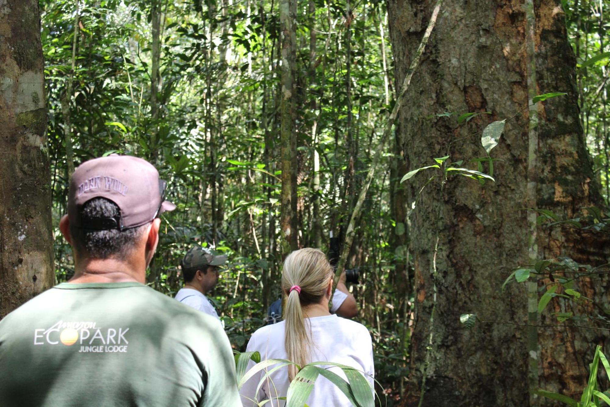 Amazon Ecopark Jungle Lodge Manaus Kültér fotó