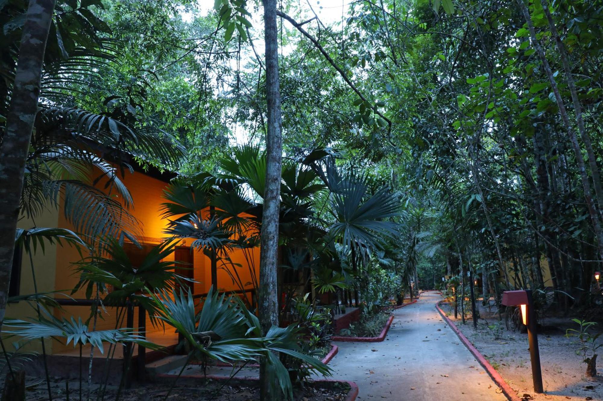 Amazon Ecopark Jungle Lodge Manaus Kültér fotó