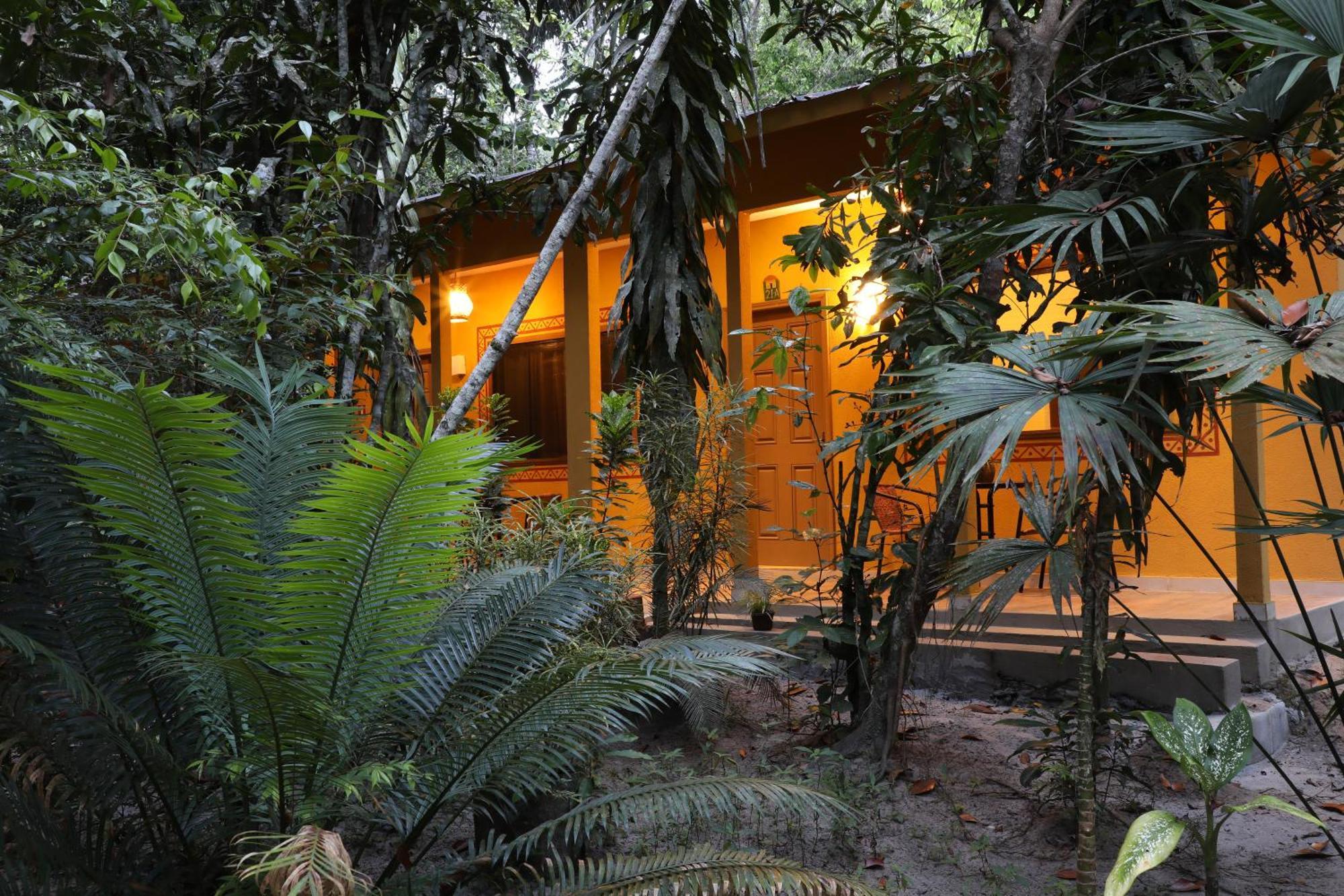 Amazon Ecopark Jungle Lodge Manaus Kültér fotó
