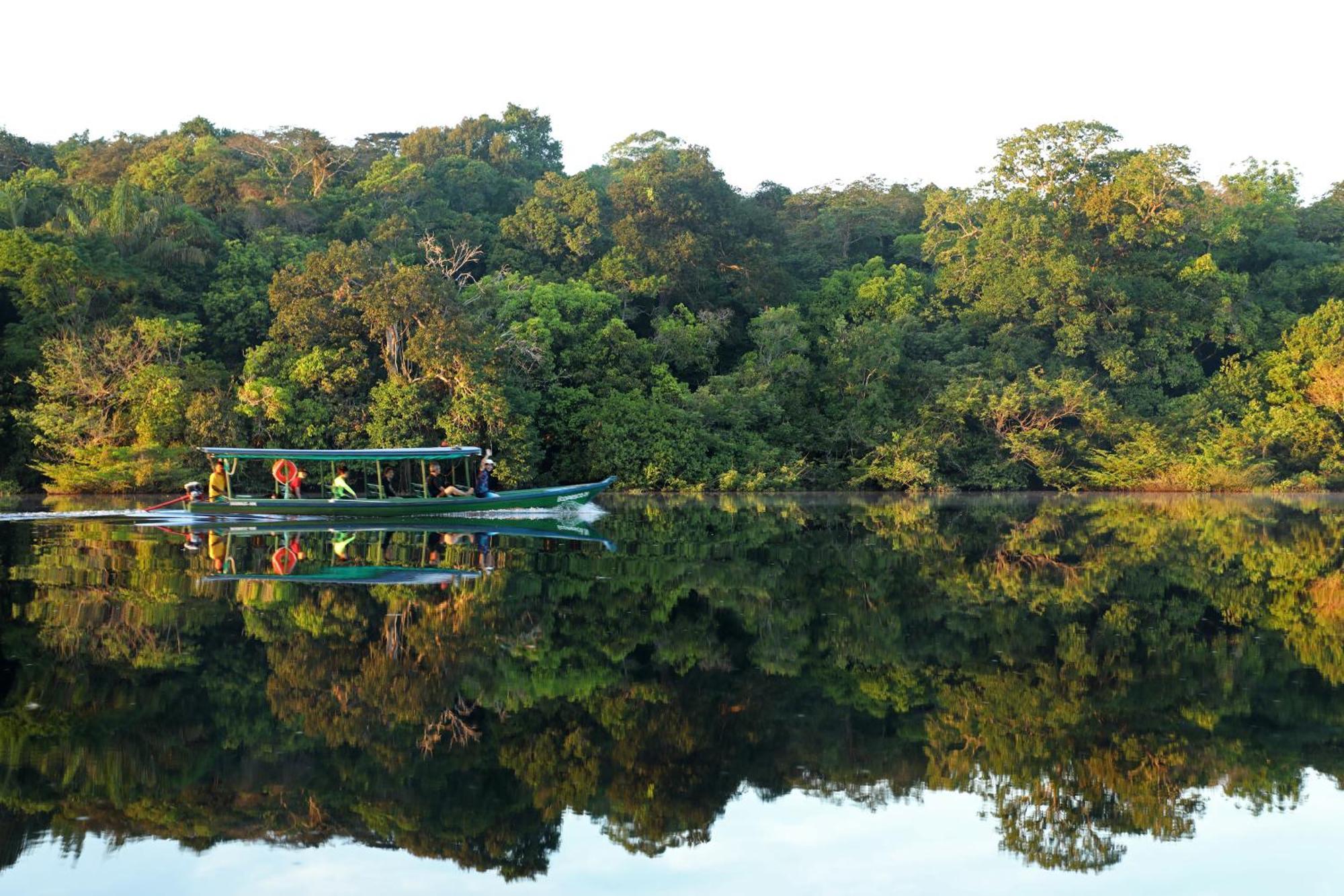 Amazon Ecopark Jungle Lodge Manaus Kültér fotó