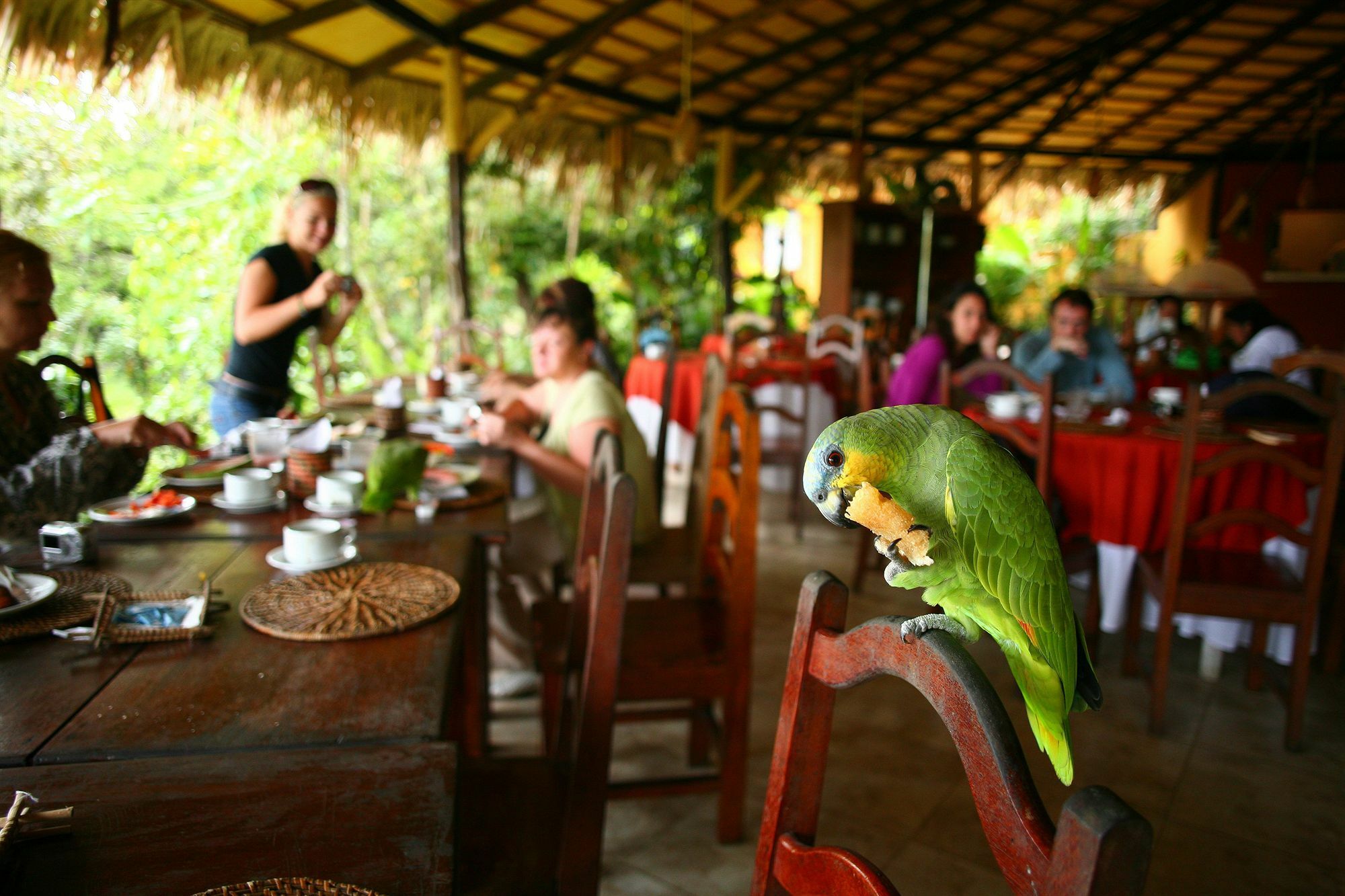 Amazon Ecopark Jungle Lodge Manaus Kültér fotó